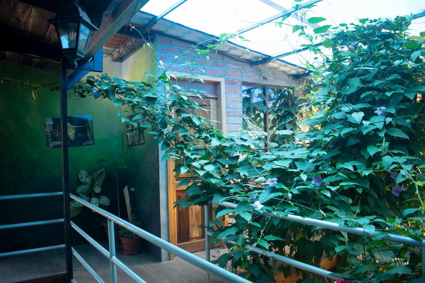 Hostal Los Farolitos Mindo Bagian luar foto