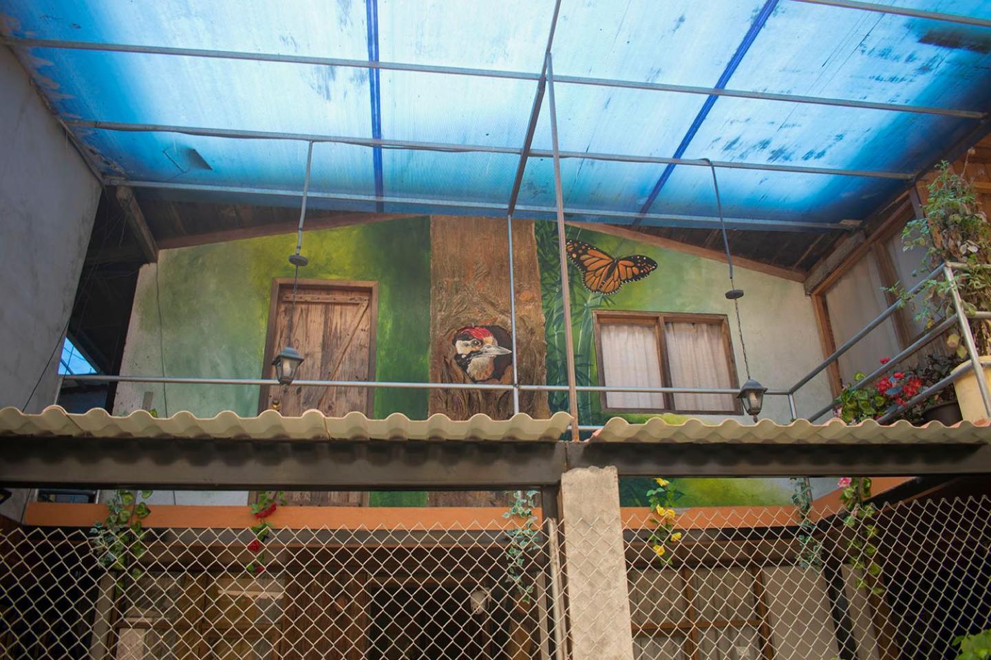 Hostal Los Farolitos Mindo Bagian luar foto
